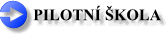 Pilotní škola